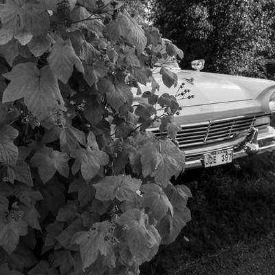 2026-08 Augusti